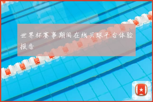 世界杯赛事期间在线买球平台体验报告