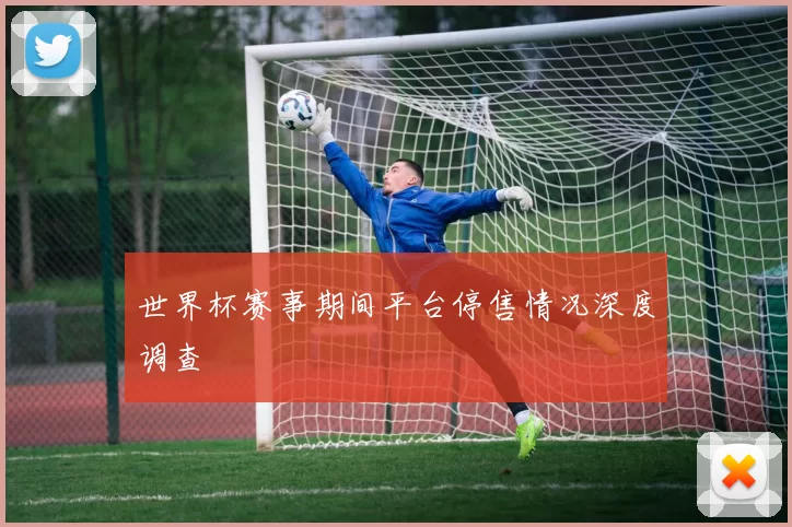 世界杯赛事期间平台停售情况深度调查