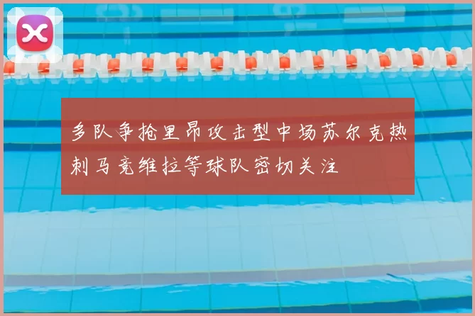 多队争抢里昂攻击型中场苏尔克热刺马竞维拉等球队密切关注