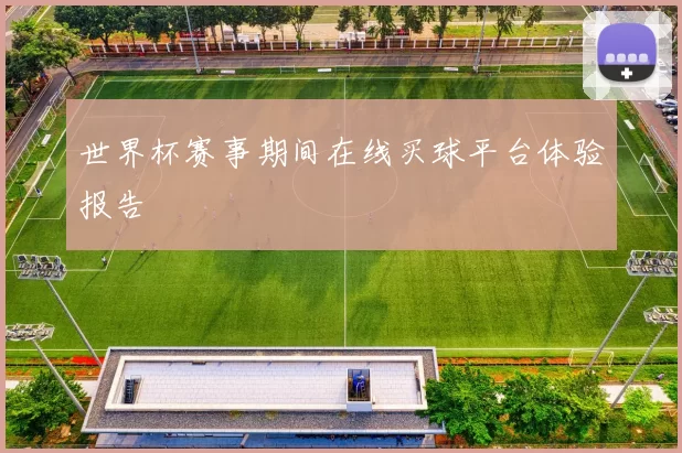 世界杯赛事期间在线买球平台体验报告