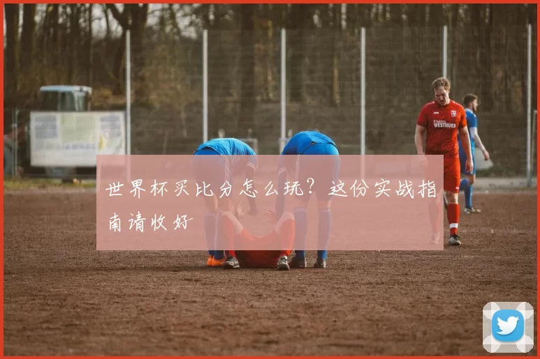 世界杯买比分怎么玩?这份实战指南请收好