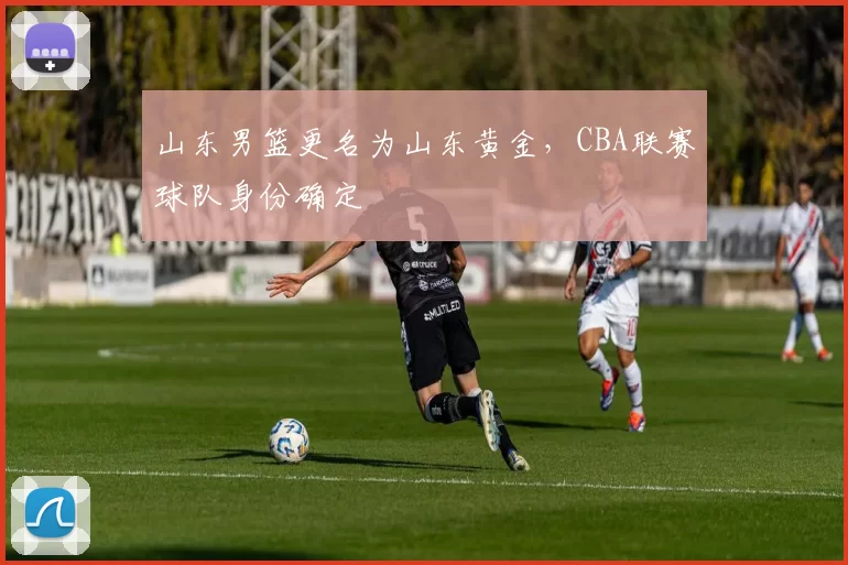 山东男篮更名为山东黄金,CBA联赛球队身份确定