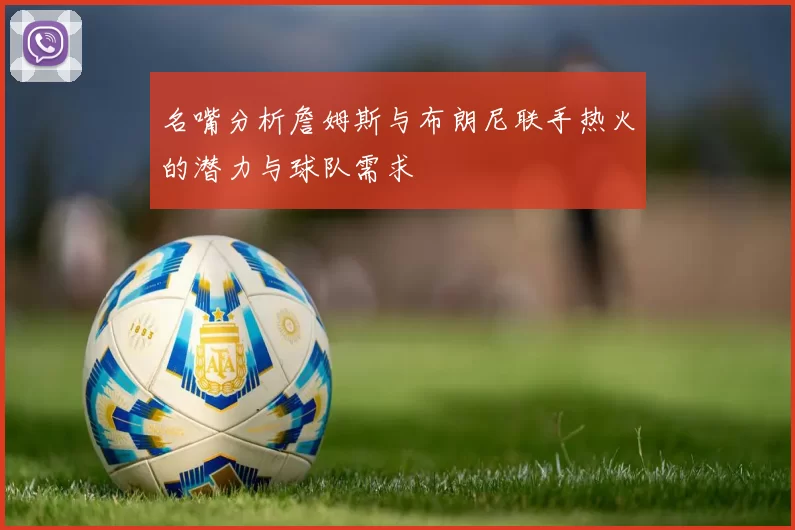 名嘴分析詹姆斯与布朗尼联手热火的潜力与球队需求