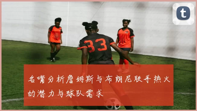 名嘴分析詹姆斯与布朗尼联手热火的潜力与球队需求