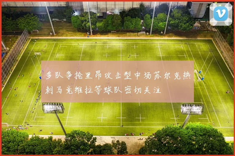 多队争抢里昂攻击型中场苏尔克热刺马竞维拉等球队密切关注