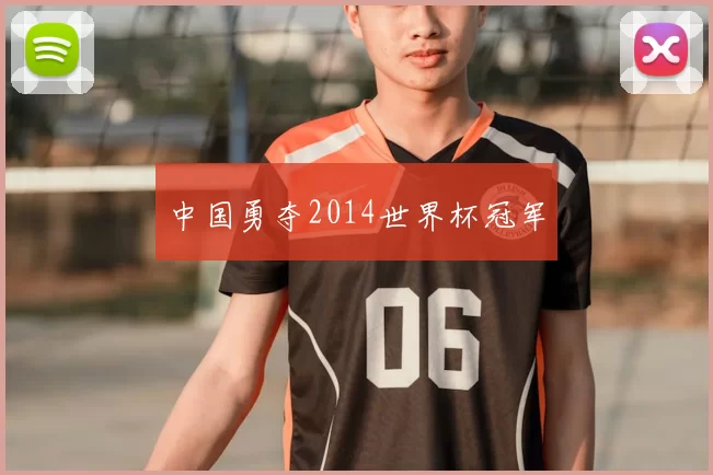 中国勇夺2014世界杯冠军