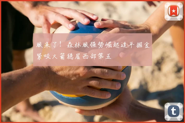 狼来了！森林狼强势崛起追平掘金紧咬火箭稳居西部第五