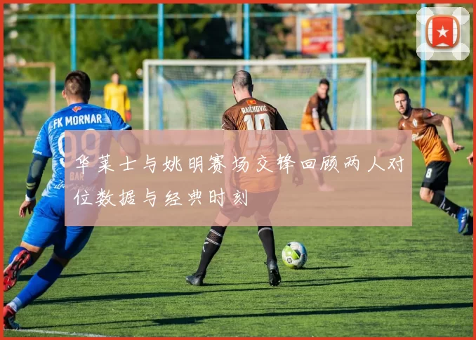 华莱士与姚明赛场交锋回顾两人对位数据与经典时刻