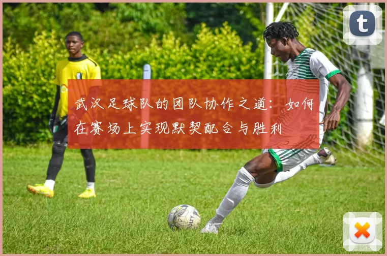 武汉足球队的团队协作之道：如何在赛场上实现默契配合与胜利